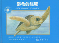海龟的旅程——海洋动物玩具系列