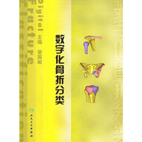 数字化骨折分类