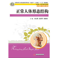正常人体形态结构