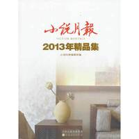 小说月报-2013年精品集