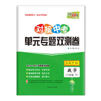 对接中考 单元专题双测卷(下) 2016-2017学年复习必备--数学（八年级沪科）