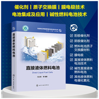 先进电化学能源存储与转化技术丛书--直接液体燃料电池