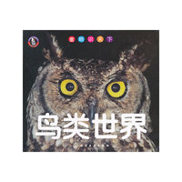 鸟类世界
