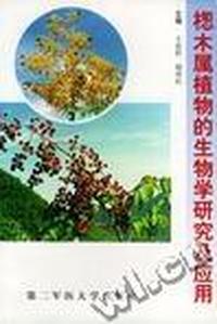 广告语言修辞策略
