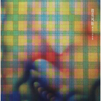 欢庆与李带菓：指花风影(CD)
