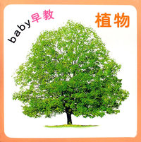 baby早教：植物