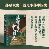 赋税里的中国史