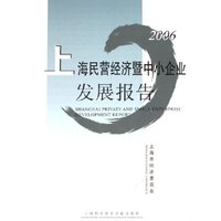 上海民营经济暨中小企业发展报告(2006)
