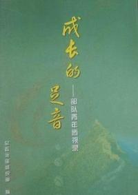 成长的足音:部队青年透视录