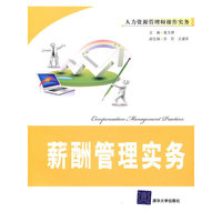 薪酬管理实务(人力资源管理师操作实务)