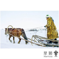 旱獭乐队：旱獭(CD)