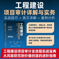 工程建设项目审计详解与实务：实战技巧+条文详解+案例分析