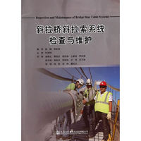 斜拉桥斜拉索系统检查与维护