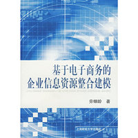 基于电子商务的企业信息资源整合建模