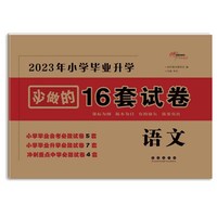2023年毕业升学必做的16套试卷 语文