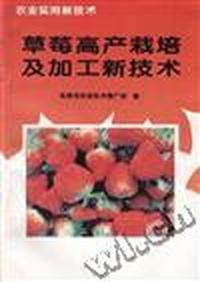 草莓高产栽培及加工新技术