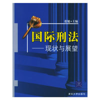 国际刑法：现状与展望
