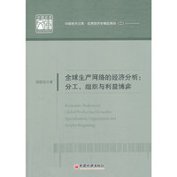 全球生产网络的经济分析:分工.组织与利益博弈