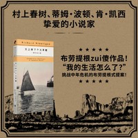 天上掉下个大草帽:一部日本小说（“我的生活怎么了？”挑战中年危机的布劳提根式提案！）