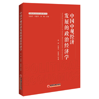 中国中观经济发展的政治经济学