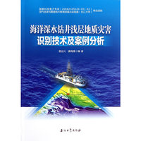 海洋深水钻井浅层地质灾害识别技术及案例分析