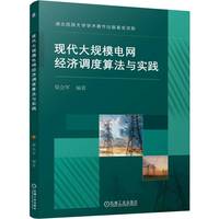 现代大规模电网经济调度算法与实践    梁会军