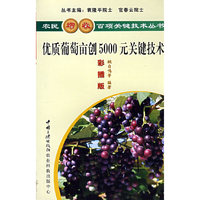 优质葡萄亩创5000元关键技术