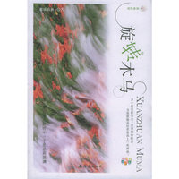 旋转木马