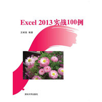 Excel 2013实战100例