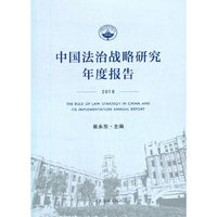 中国法治战略研究年度报告·2019