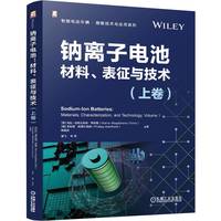 钠离子电池：材料、表征与技术（上卷）[罗马尼亚]玛拉-马格达莱纳·蒂廷斯     [德]菲利普·阿德尔海姆       [中]胡勇胜