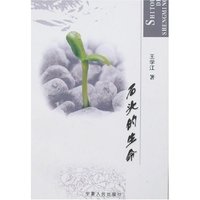 石头的生命