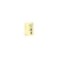 中国人研究——中国家庭、社会与国家角色的历史分析