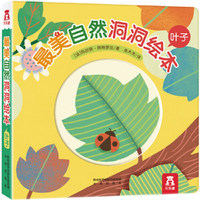 最美自然洞洞绘本：叶子