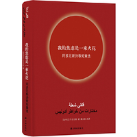 我的焦虑是一束火花:阿多尼斯诗歌短章选