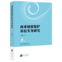 商业秘密保护诉讼实务研究