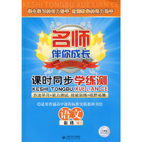名师伴你成长系列丛书 课时同步学练测 高中语文必修4 配人教版