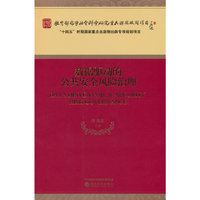数据驱动的公共安全风险治理