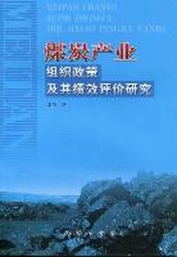 煤炭产业-组织政策及其绩效评价研究
