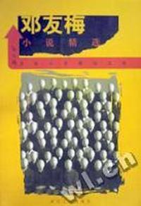 邓友梅小说精选