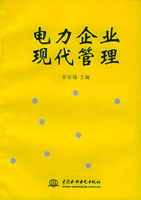 电力企业现代管理