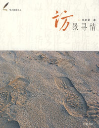 访景寻情