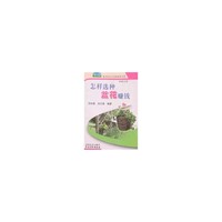 怎样选种盆花赚钱