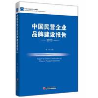2013-中国民营企业品牌建设报告