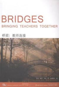 桥梁：教师连接