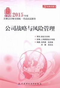 公司战略与风险管理