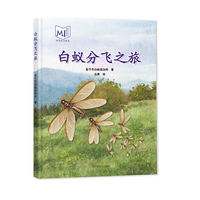 白蚁分飞之旅