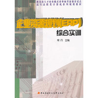 企业资源规划(ERP)综合实训 (平装)