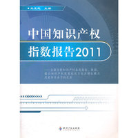 中国知识产权指数报告2011