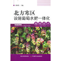 北方寒区设施葡萄水肥一体化栽培技术